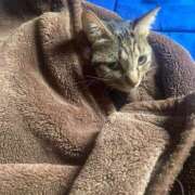 ヒメ日記 2025/10/23 12:05 投稿 かおり 府中ダービー