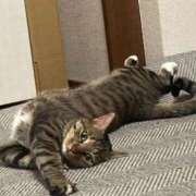 ヒメ日記 2025/10/23 16:42 投稿 かおり 府中ダービー