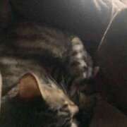 ヒメ日記 2025/11/05 11:33 投稿 かおり 府中ダービー