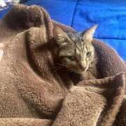 ヒメ日記 2025/11/15 17:29 投稿 かおり 府中ダービー