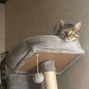 ヒメ日記 2025/11/23 11:21 投稿 かおり 府中ダービー