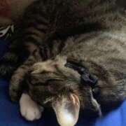 ヒメ日記 2025/12/04 17:13 投稿 かおり 府中ダービー