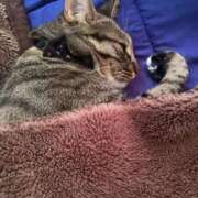 かおり 本日の空き時間🌸 府中ダービー