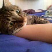 ヒメ日記 2025/12/18 11:40 投稿 かおり 府中ダービー