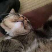 ヒメ日記 2025/12/19 16:41 投稿 かおり 府中ダービー