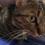 ヒメ日記 2025/12/23 11:33 投稿 かおり 府中ダービー