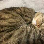 かおり おはよ☀️ あと5日！？ 府中ダービー