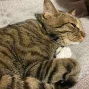 かおり 今日はすみません😭そして明日のこと☀️ 府中ダービー