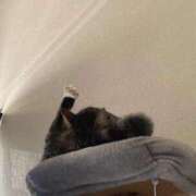 ヒメ日記 2026/01/19 11:53 投稿 かおり 府中ダービー