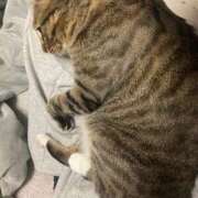 ヒメ日記 2026/02/03 10:53 投稿 かおり 府中ダービー