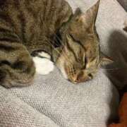 ヒメ日記 2026/02/10 17:33 投稿 かおり 府中ダービー