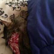 ヒメ日記 2026/02/11 10:53 投稿 かおり 府中ダービー