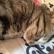 かおり おはんよ☀️ 府中ダービー