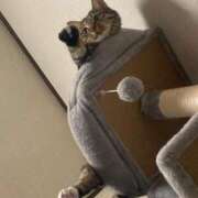 かおり おはよぉ🙋‍♀️ 府中ダービー