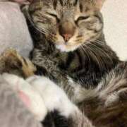 ヒメ日記 2026/03/10 11:43 投稿 かおり 府中ダービー