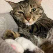 ヒメ日記 2026/03/11 12:23 投稿 かおり 府中ダービー