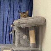 ヒメ日記 2026/03/12 10:53 投稿 かおり 府中ダービー