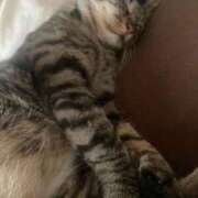 ヒメ日記 2026/03/25 18:21 投稿 かおり 府中ダービー