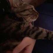 ヒメ日記 2026/03/28 10:23 投稿 かおり 府中ダービー