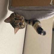 ヒメ日記 2026/04/08 12:09 投稿 かおり 府中ダービー