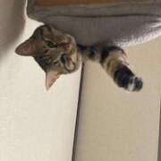 ヒメ日記 2026/04/08 16:53 投稿 かおり 府中ダービー