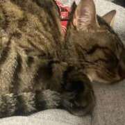 ヒメ日記 2026/04/15 16:08 投稿 かおり 府中ダービー