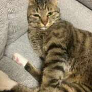 ヒメ日記 2026/04/16 12:18 投稿 かおり 府中ダービー