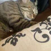 かおり おはよぉ🌞 府中ダービー
