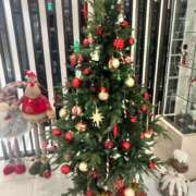 ヒメ日記 2024/12/17 01:42 投稿 じゅり 奥様メモリアル