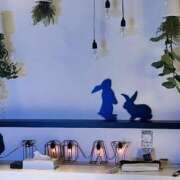 ヒメ日記 2024/12/27 23:18 投稿 じゅり 奥様メモリアル