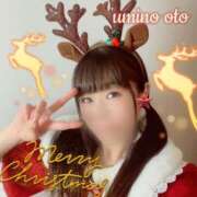 ヒメ日記 2025/12/04 17:03 投稿 海乃 おと 雅(みやび)