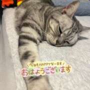 ヒメ日記 2025/05/19 12:07 投稿 カナミ【FG系列】 デリぽちゃin松戸（FG系列）