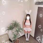 ヒメ日記 2025/02/15 12:21 投稿 かやの もも尻本店