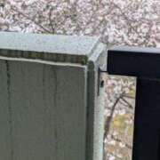 ヒメ日記 2025/03/29 10:02 投稿 らん 吉野ケ里人妻デリヘル 「デリ夫人」