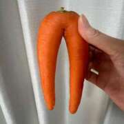 ヒメ日記 2025/06/12 13:15 投稿 らん 吉野ケ里人妻デリヘル 「デリ夫人」