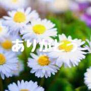 ヒメ日記 2025/04/18 19:01 投稿 沢木 PHOENIX(フェニックス)鳥栖店