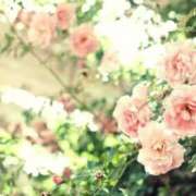 ヒメ日記 2025/05/30 19:01 投稿 沢木 PHOENIX(フェニックス)鳥栖店