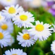 ヒメ日記 2025/10/31 19:16 投稿 沢木 PHOENIX(フェニックス)鳥栖店