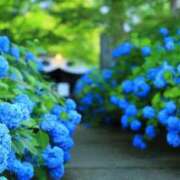 ヒメ日記 2026/02/06 19:31 投稿 沢木 PHOENIX(フェニックス)鳥栖店