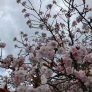 ヒメ日記 2026/02/17 19:31 投稿 沢木 PHOENIX(フェニックス)鳥栖店