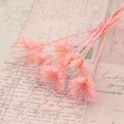 ヒメ日記 2026/02/24 19:02 投稿 沢木 PHOENIX(フェニックス)鳥栖店