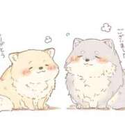 沢木 ありがとうございました PHOENIX(フェニックス)鳥栖店