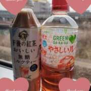 ヒメ日記 2025/03/25 13:05 投稿 さき 即アポマダム～名古屋店～