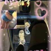 ヒメ日記 2026/02/10 09:55 投稿 るな 池袋デリヘル倶楽部