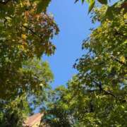 ヒメ日記 2024/12/09 09:00 投稿 さら 舐めフェチの会