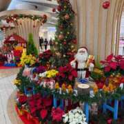 ヒメ日記 2025/01/04 10:00 投稿 さら 舐めフェチの会