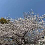 さら お願い🩷 舐めフェチの会