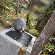 ヒメ日記 2025/12/09 19:29 投稿 こはる New Sky