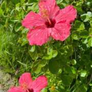 ヒメ日記 2024/12/10 16:35 投稿 きよ 舐めフェチの会