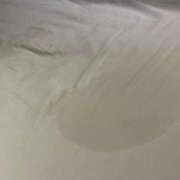 ヒメ日記 2025/04/01 16:41 投稿 きよ 舐めフェチの会